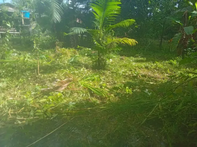 Terreno a venda