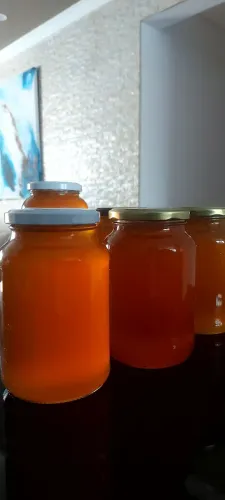 Mel Puro  direto de cerro azul para sua casa