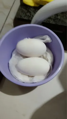 Ovos de ganso