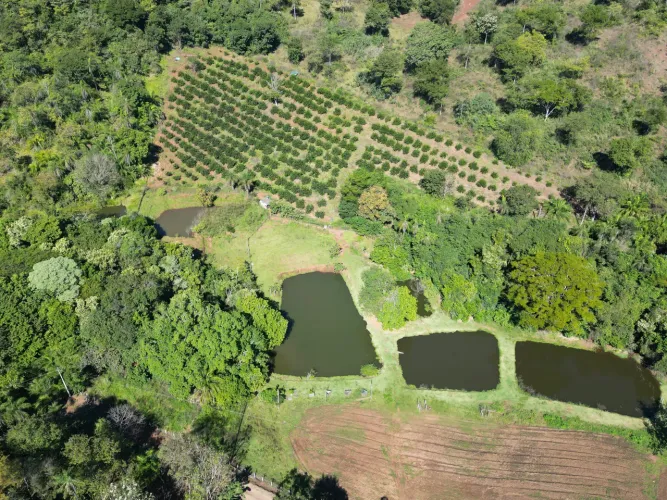 Chácara 7 Hectares 