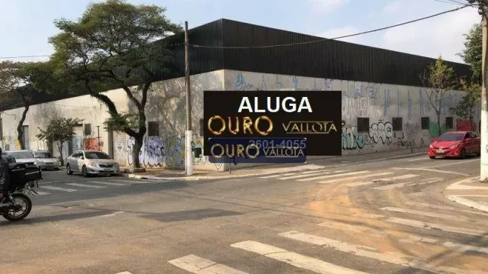 Terreno para alugar, 2970 m² por R$ 162.419,70/mês - Cambuci - São Paulo/SP
