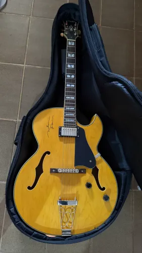 Guitarra semi acústica condor Nelson Faria 