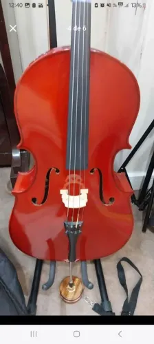Violoncelo maciço