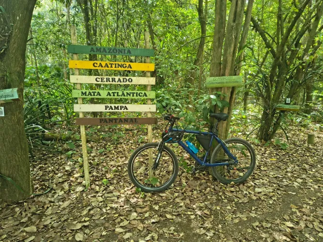 Bike MTB Caloi de alumínio reforçado