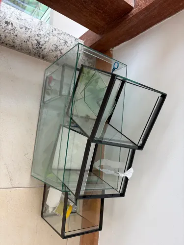 6 aquários 
