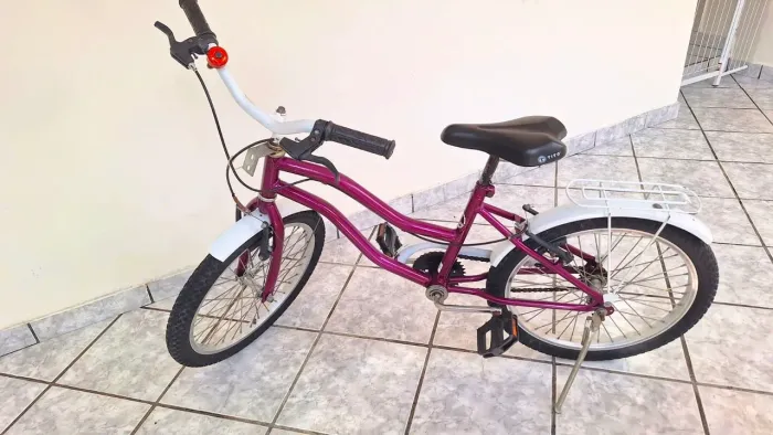 Bicicleta Infantil/Juvenil Aro 20 Roxa