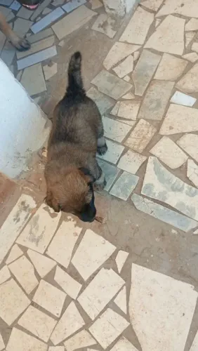 Pai x mas na foto 