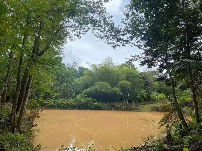 Imóvel para venda possui 27000 metros quadrados com 2 quartos em Centro - Benevides - PA