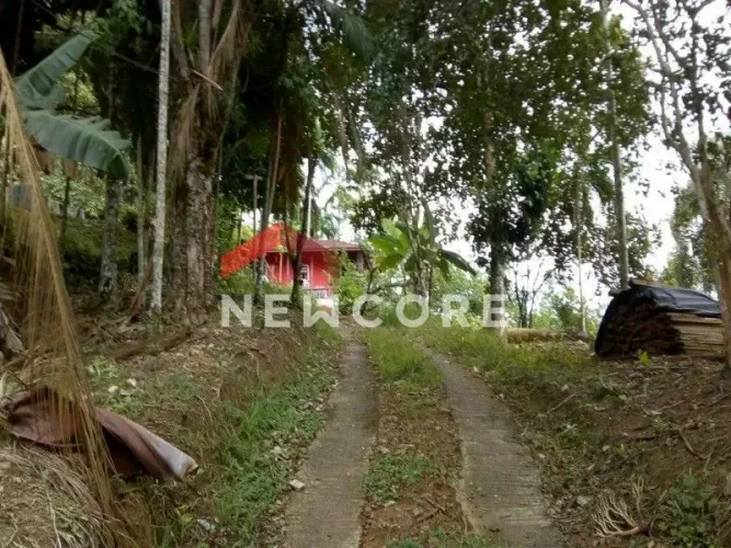 Chácara em Estrada do Ramiho - Jardim Coronel - Itanhaém/SP