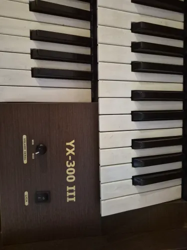 Órgão Organist