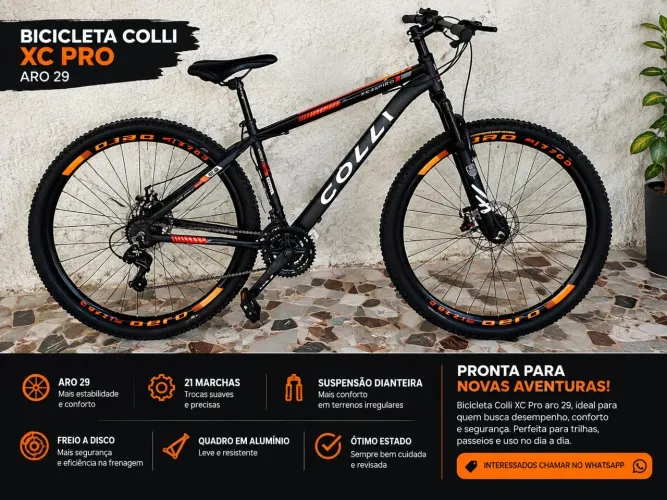 Bicicleta preta colli Aro29