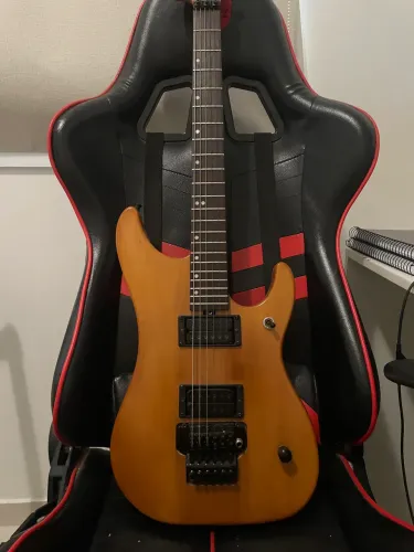 Washburn N2 