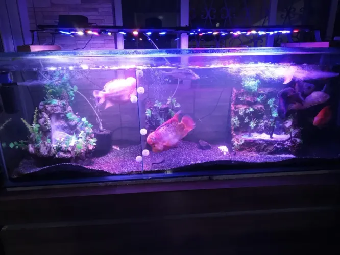 Luminária para aquário 