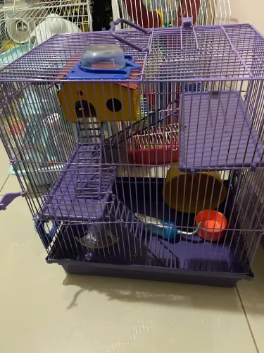Gaiola hamster