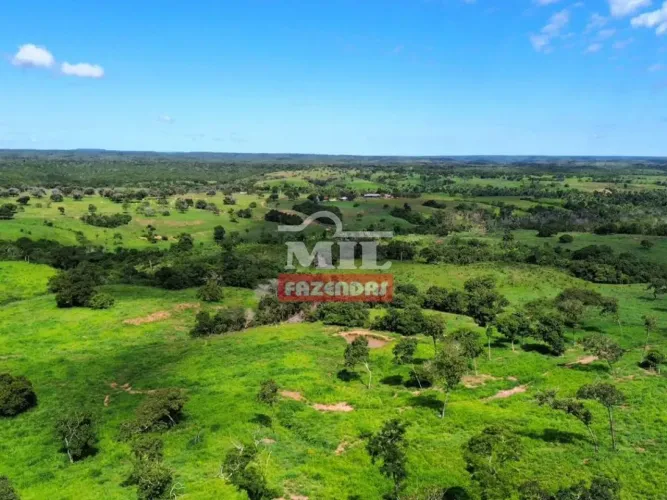 Fazenda 150 alqueires ( 726 hectares ) Rio Sono- TO