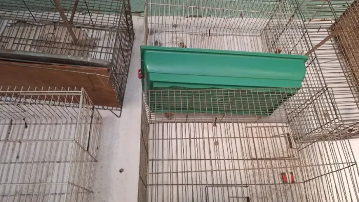 Gaiolas Usadas