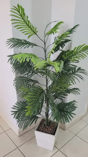 Planta, Armário e Cadeiras