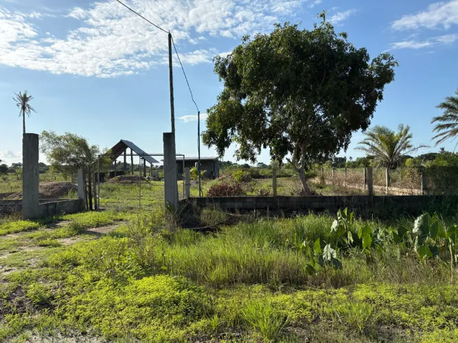 Para vender hoje .  chácara na estrada das meleiras a 4 km do asfalto 300 metros do rio 