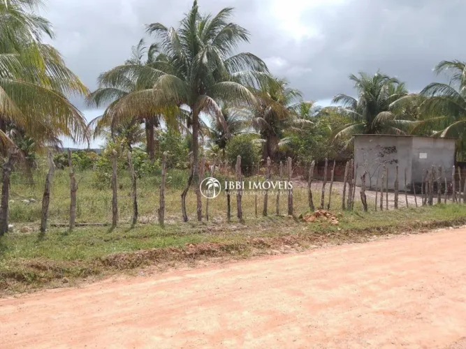 Oportunidade no Povoado de Coqueiros: Terreno com 3.000m², Plano e Arborizado