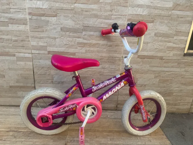 bicicleta aro 12 da marca MAGNA-importada