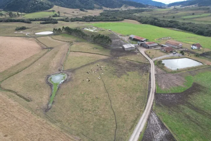 Terreno 206 hectare