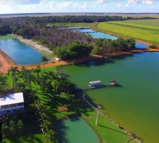 Fazenda 8 mil hec em Vera, MT. 4 mil em Lavoura Soja R$:764 milhões.