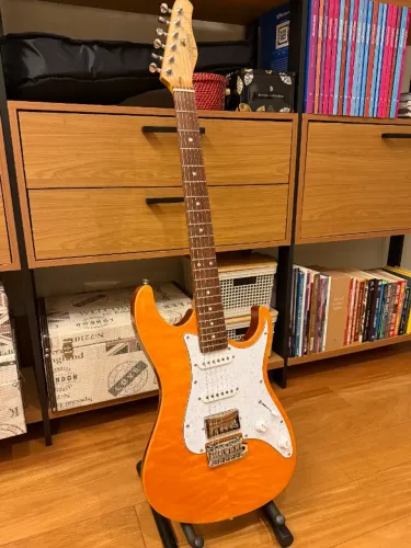 Guitarra Tagima Stella DW Strato Classic Series Estado de Nova 2S 1H Escala Escura