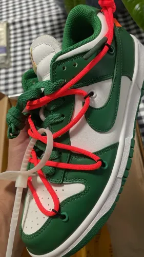 Nike dunk off white pg