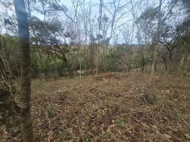 Vendo ou troco Terreno Andrequicé
