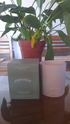 Velas Importadas