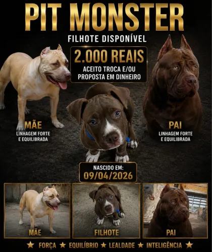 Pitmonster