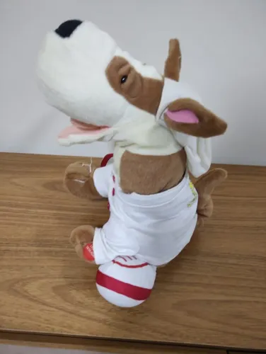 Cão Spock Candide FUNCIONANDO