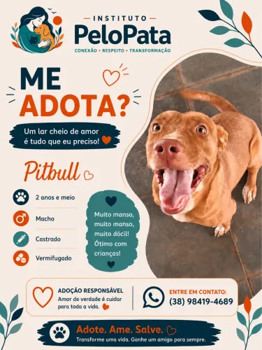 Adote Pity