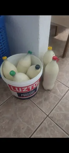 Leite de vaca 