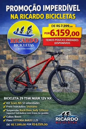 BICICLETA 29 TSW YUKON 12V NX
