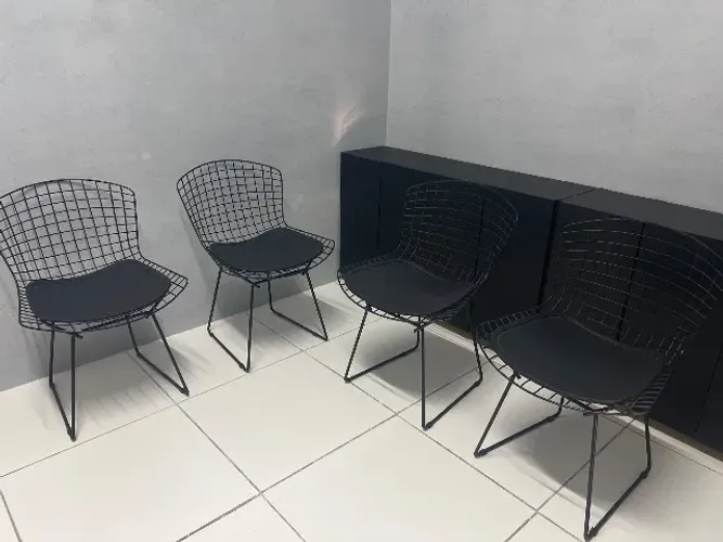 Cadeiras Bertoia Tokstok