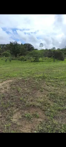 Terro a venda Vila Maranhão