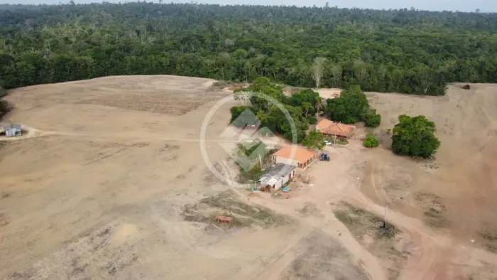 Fazenda de Alta Produtividade com Logística Impecável. codigo: 269102