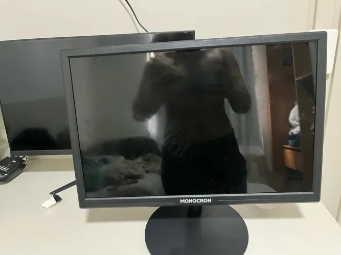 Monitor Monocron MN-19R1