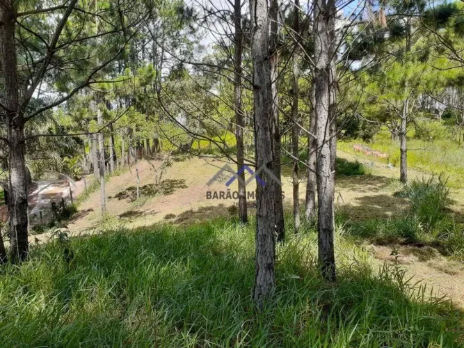 Terreno à venda, 3200 m² por R$ 660.000,00 - Parque Espelho D Água - Jundiaí/SP
