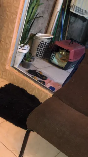 Casinha para pet 