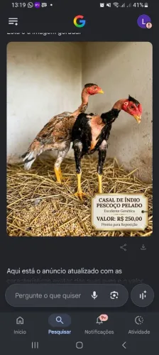 Casal de índio
