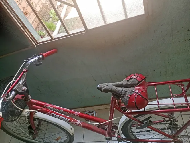 Bicicleta de 