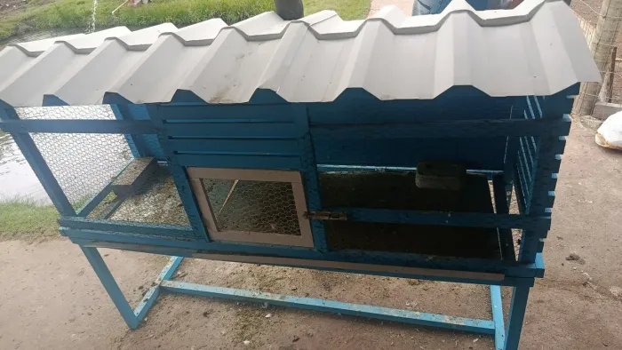 Viveiro para aves 