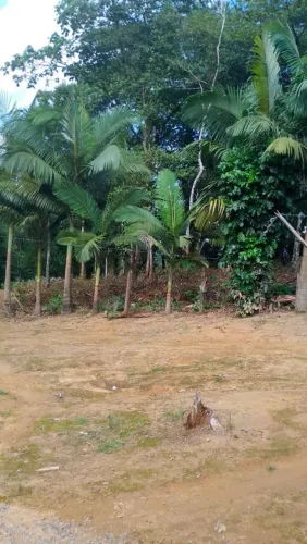 Vendo sítio na cidade de Juquiá