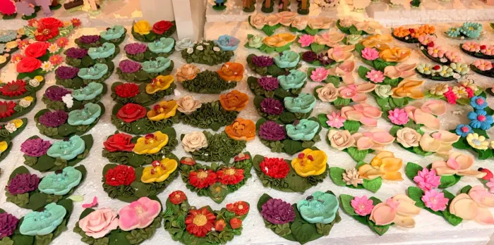 Tapa erva Biscuit 