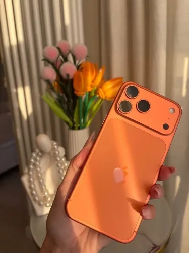 iPhone 11 na carenagem do 17 pro ?