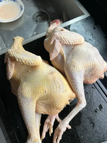 Galinha/frango