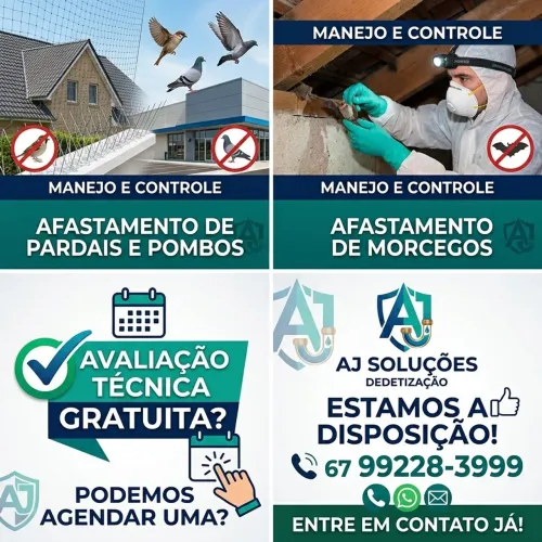 Dedetização de Pardais, Pombos e Morcegos 