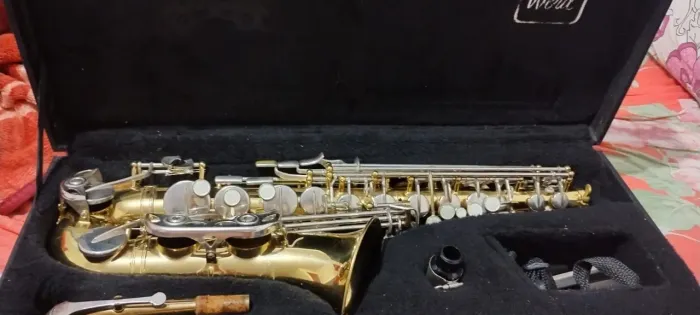 Saxofone alto Werill Master
